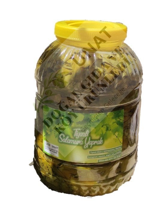 Salamura Asma Yaprağı 5Kg Pet Manisa/Gölmarmara/Tiyenli Köyü