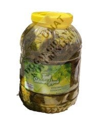 Salamura Asma Yaprağı 5Kg Pet Manisa/Gölmarmara/Tiyenli Köyü